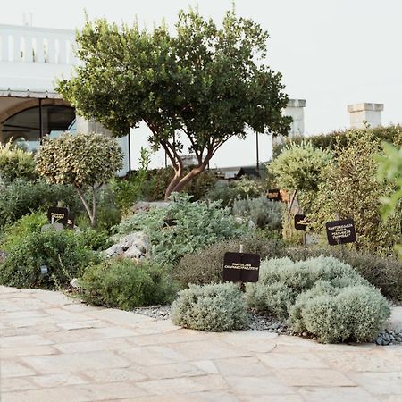 Oppure - Masseria Moderna Acomodação com café da manhã Polignano a Mare Exterior foto