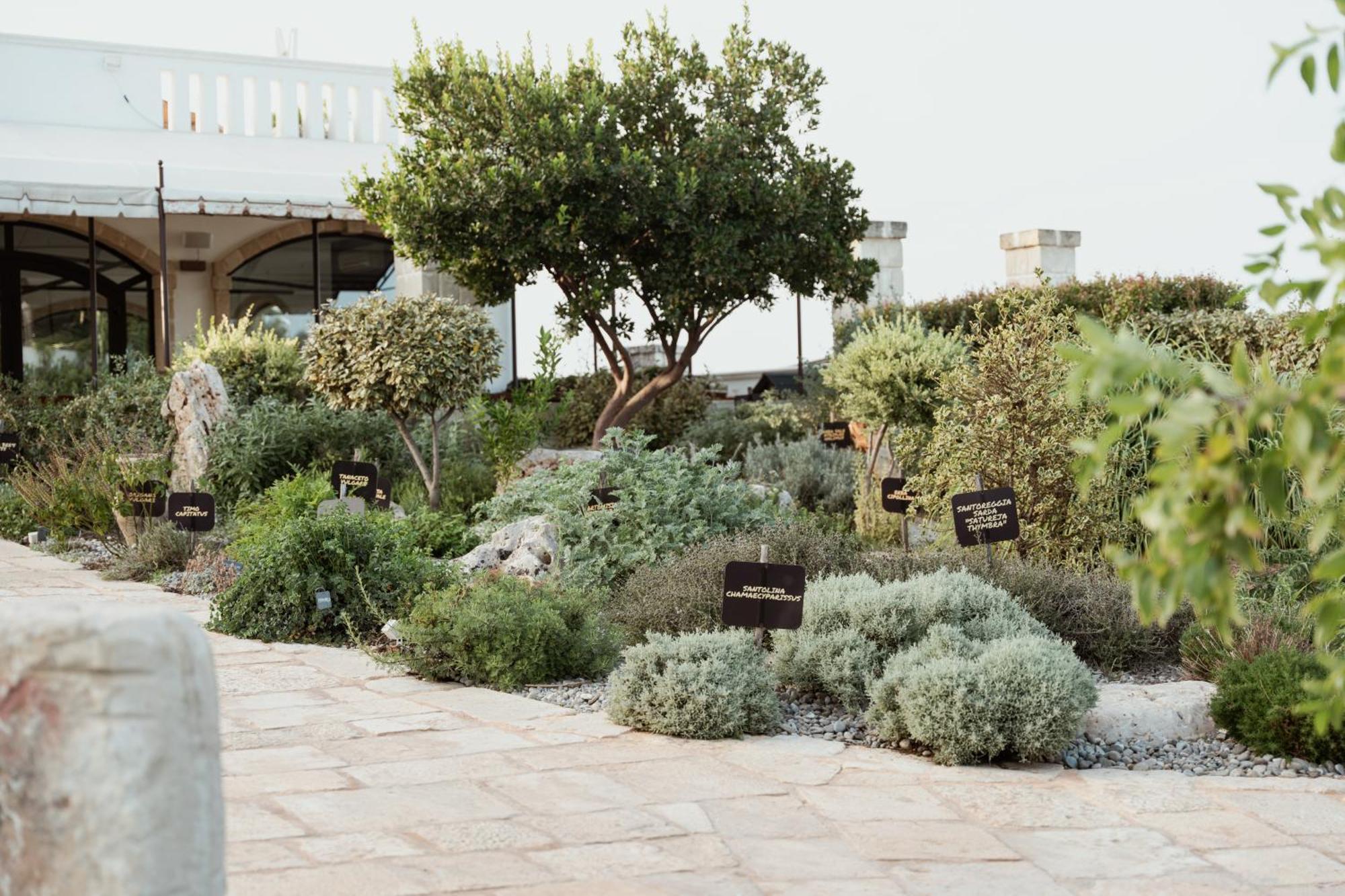 Oppure - Masseria Moderna Acomodação com café da manhã Polignano a Mare Exterior foto